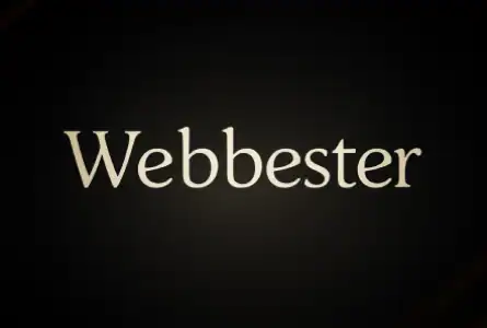 Webbester Studios team at work on WordPress sites